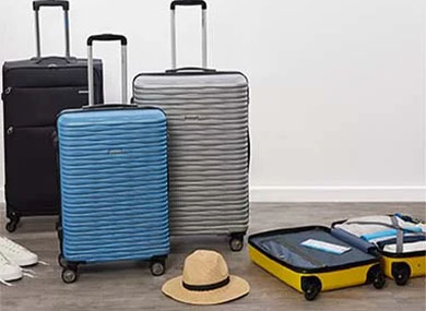 Homestore and more discount suitcases